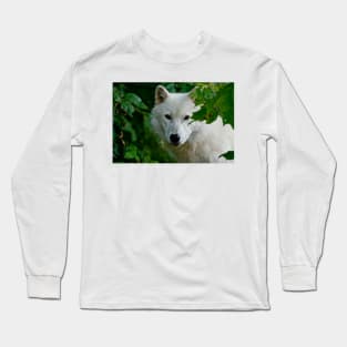 Arctic Wolf Long Sleeve T-Shirt